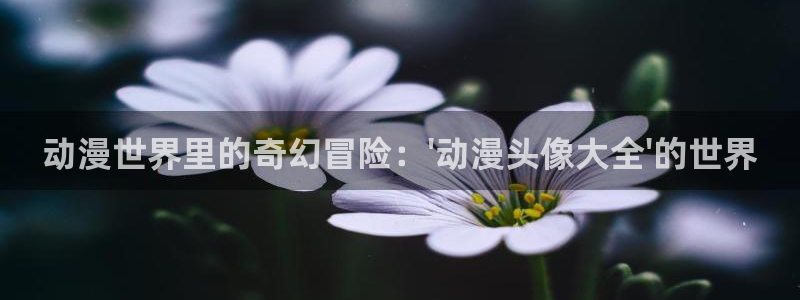在世界尽头咏唱樱花动漫