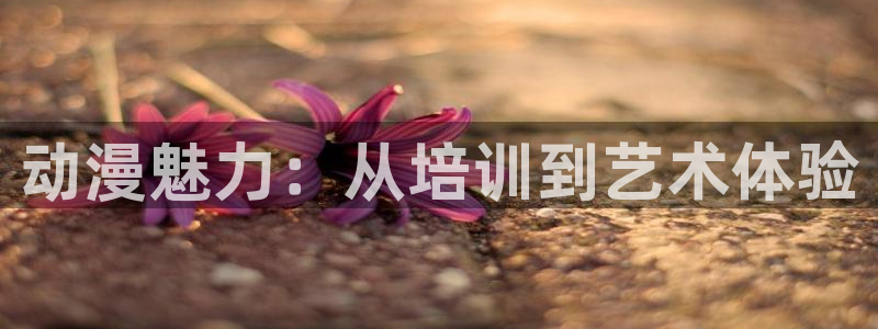 樱花动漫中文版
