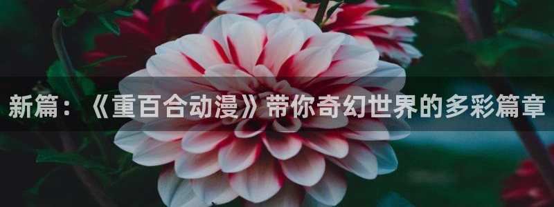 夜勤病栋樱花动漫在线观看全集