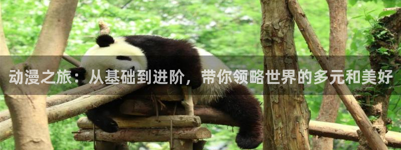 樱花动漫催眠