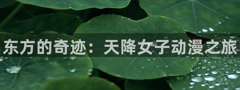 异邦人樱花动漫