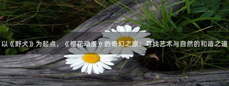 姐孕第1集免费观看樱花动漫