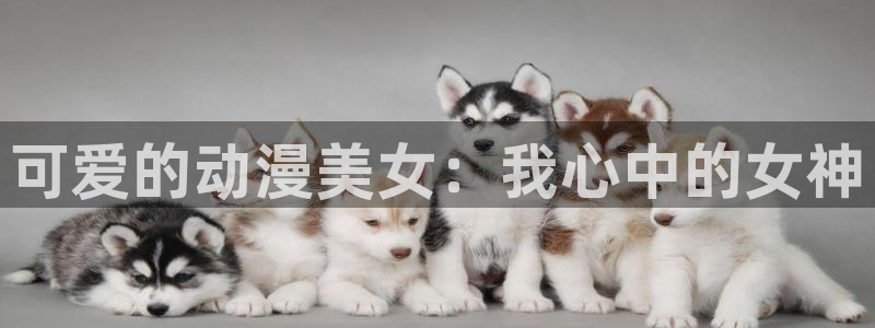终末的后宫完整免费观看樱花动漫
