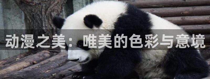 小蝌蚪视频樱花动漫：动漫之美：唯美的色彩与意境
