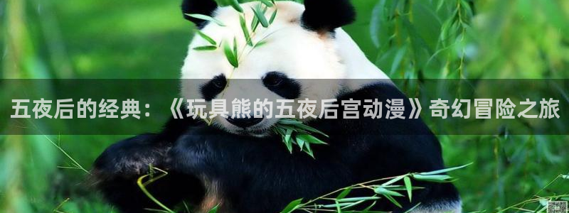 旧版樱花动漫入口