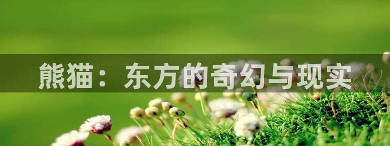 晨曦公主樱花动漫