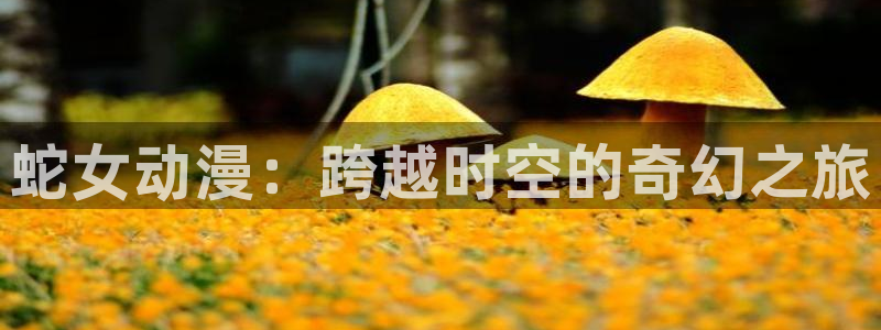 无限斯特拉托斯第二季樱花动漫