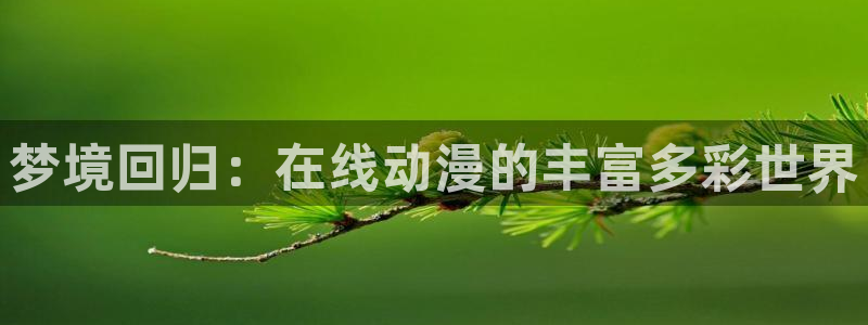 月光下的异世界之旅第二季樱花动漫