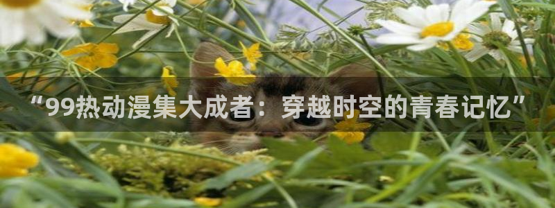 樱花动漫官网在线观看免费