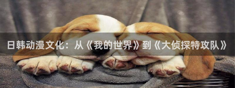 樱花动漫专看动漫的网站