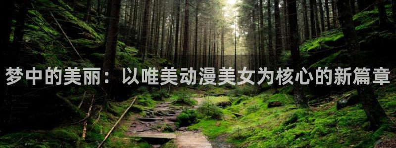 overflow风车樱花动漫