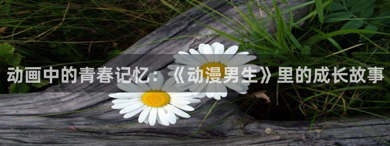 樱花动漫网页入口：动画中的青春记忆：《动漫男生》里的成长故事