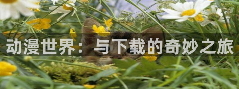 终末的后官樱花动漫播放：动漫世界：与下载的奇妙之旅