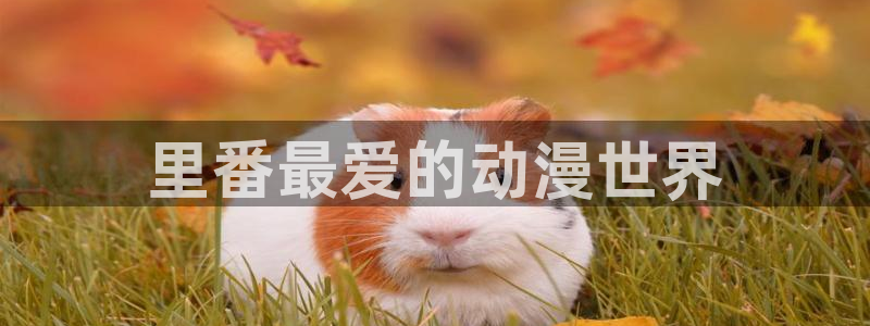 overflow翻译樱花动漫