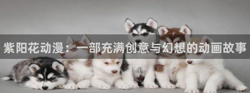 樱花动漫在线动漫