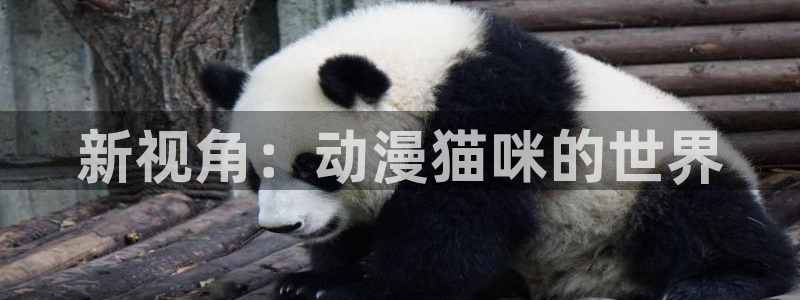 樱花动漫专题网