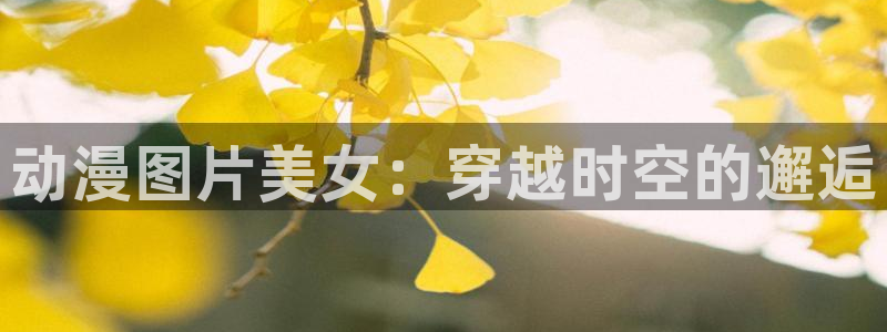 食戟之灵第4季樱花动漫