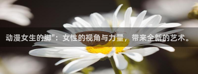 樱花动漫怎么样