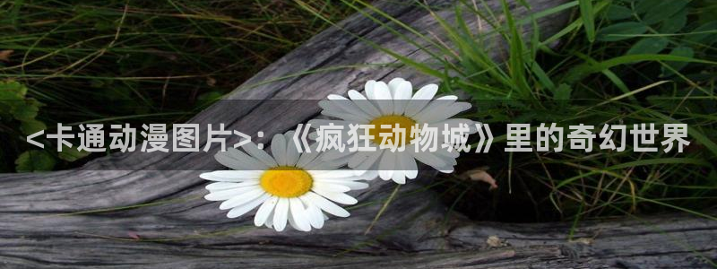 无职转生第三季樱花动漫2024