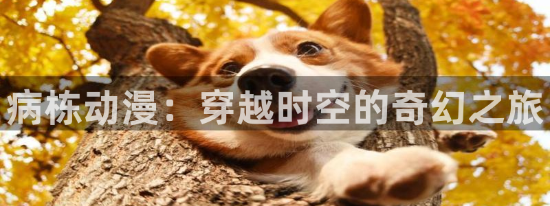 博人传动漫樱花动漫