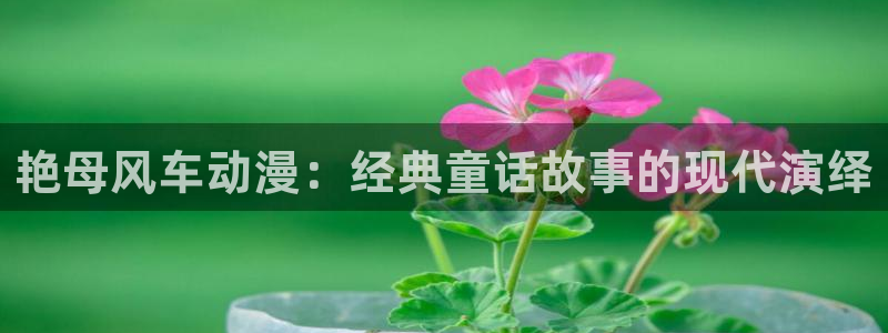 夜勤病栋动漫樱花动漫
