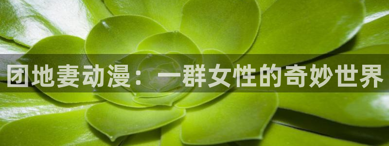 樱花动漫官方网