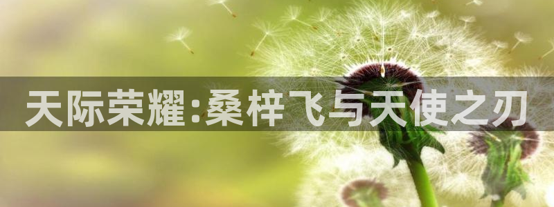 樱花动漫官网入口在线：天际荣耀:桑梓飞与天使之刃