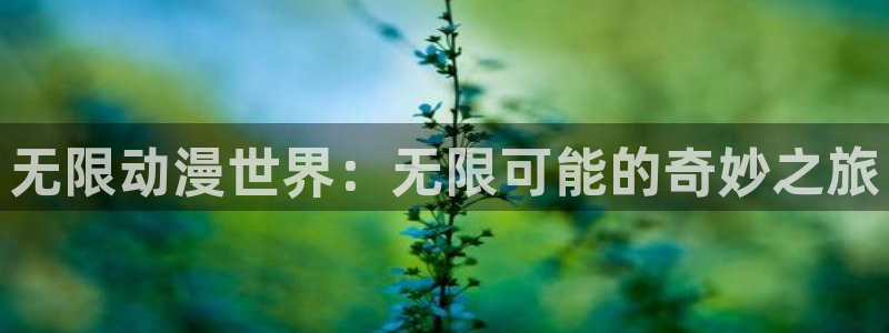 哔樱花动漫