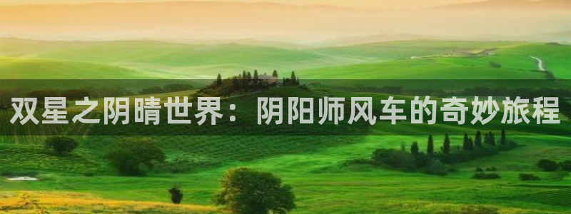 樱花动漫网专注门户：双星之阴晴世界：阴阳师风车的奇妙旅程