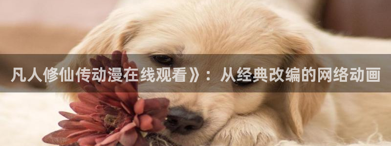 强风吹拂动漫樱花动漫