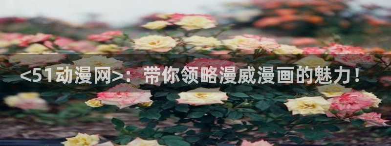 僧侣之夜樱花动漫未删减