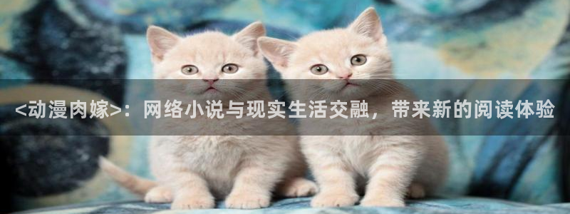 樱花动漫appios版