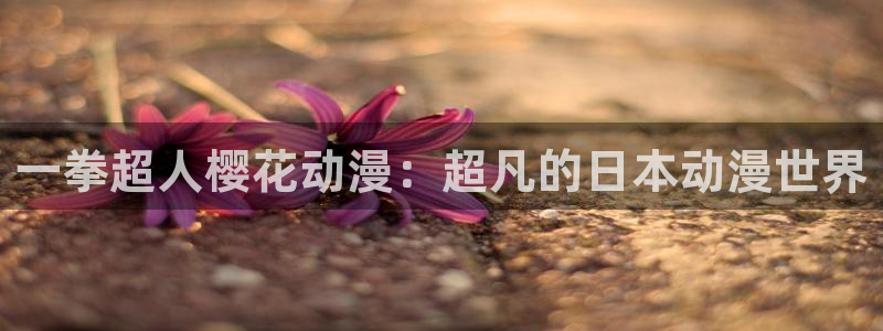 樱花动漫官网imomoe专注动漫的门户网