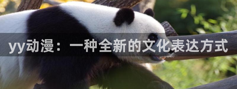 快乐方程式樱花动漫