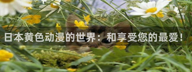 排球少年第三季樱花动漫网