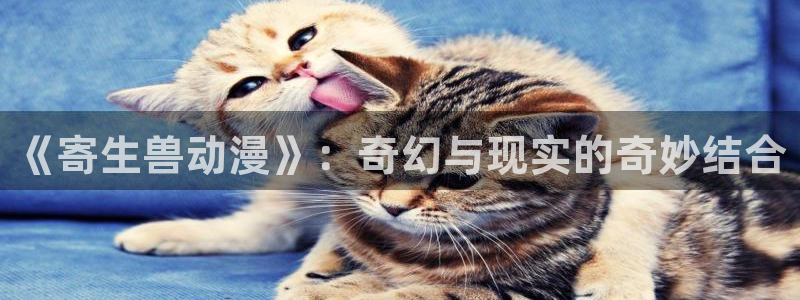 全职法师动漫第三季樱花动漫