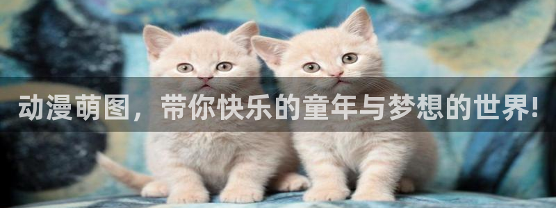海贼王,樱花动漫