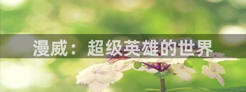乱马2分之1樱花动漫