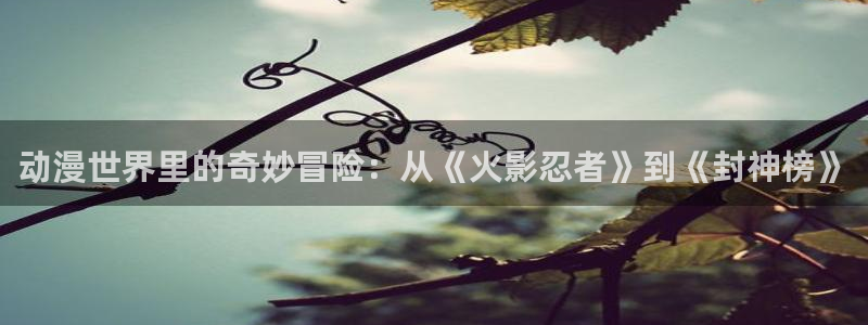多多罗樱花动漫