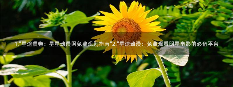 樱花动漫的官网