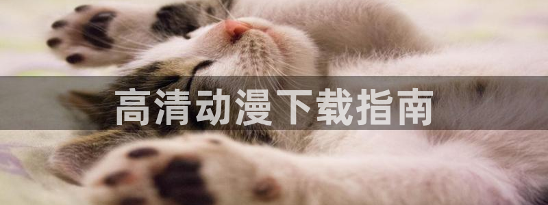 樱花动漫传
