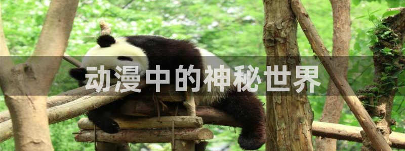 overlord动漫在线看樱花动漫