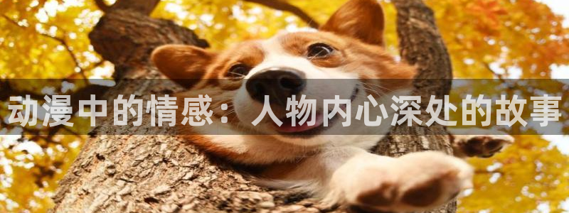 樱花动漫网站广告