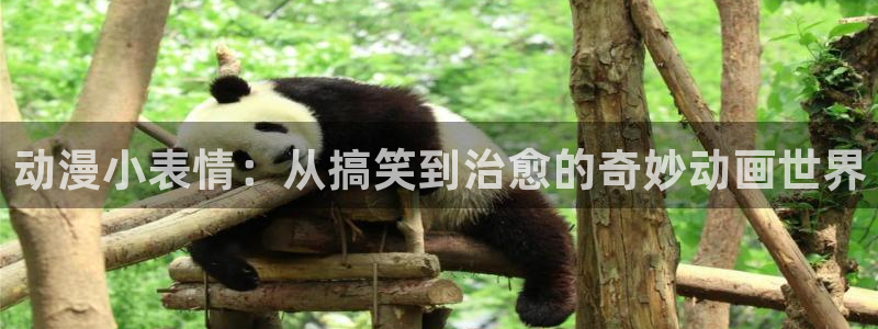 打开网站樱花动漫