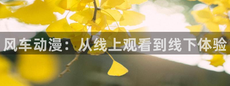 樱花动漫零度战姬