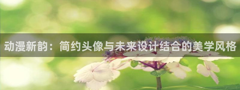 美食猎人樱花动漫免费看：动漫新韵：简约头像与未来设计结合的美学风格